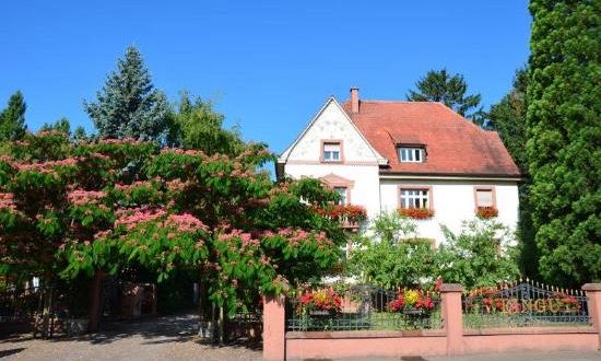 Weingut Anselmann, Pfalz, Duitsland