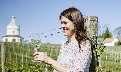 Weingut Minkowitsch, Weinviertel, Oostenrijk