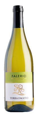 Terra Fageto Fallerio dei Colli Ascolani – Marche